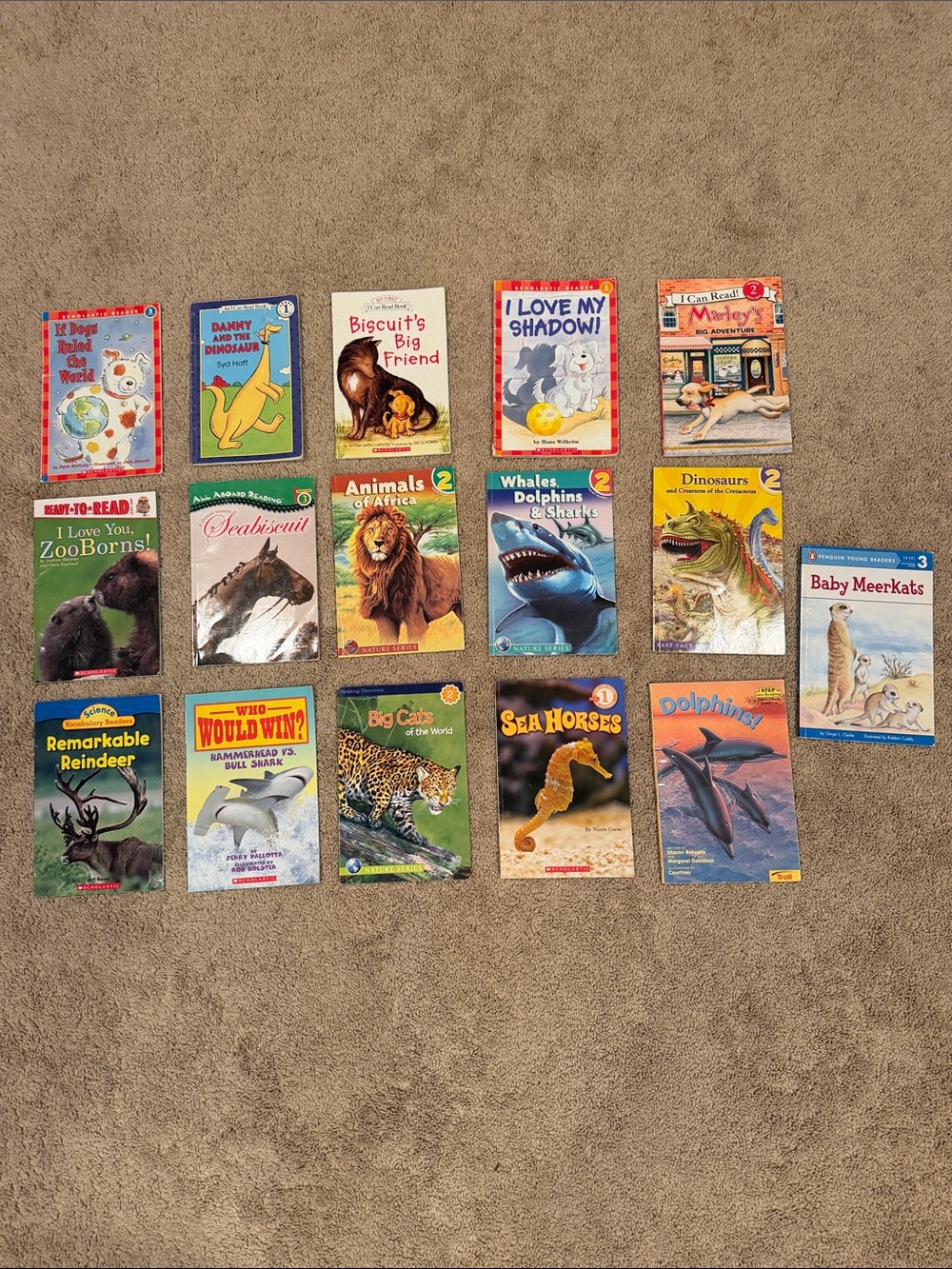 First Readers Animal Books Bundle